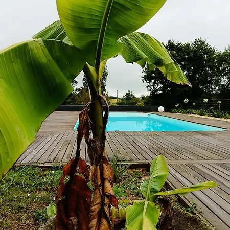 Grand Gite Gironde 12 Personnes * Caumont (Gironde)