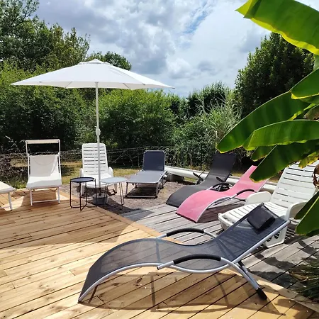 Grand Gironde 12 Personnes Σπίτι διακοπών Caumont (Gironde)